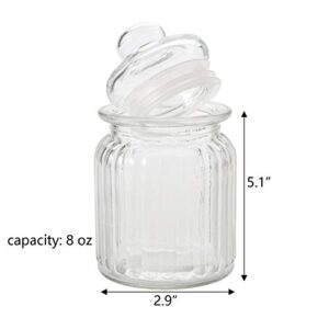 TOPZEA 12 Pack Glass Favor Jars with Airtight Lids, 8 oz Clear Glass Sugar Spice Containers Candy Apothecary Jar, Decorative Candle Holder Kitchen Food Storage Canisters for Coffee, Jam, Tea, Nuts