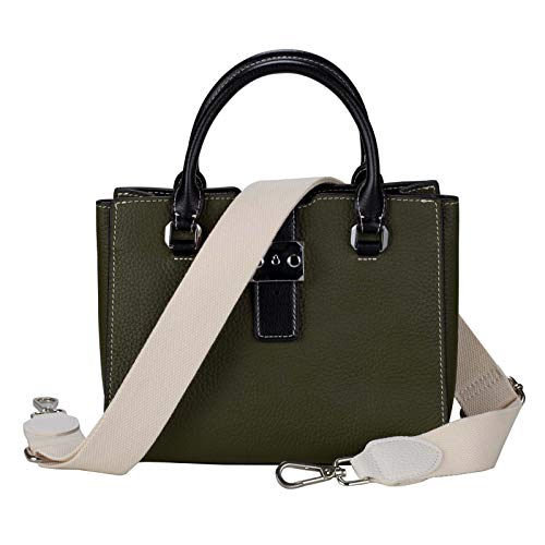 Allzedream Purse Straps Replacement Crossbody Bags Handbag Wide Canvas Leather Adjustable (Apricot, Silver hardware)