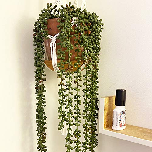 3pcs Artificial Fake String of Pearls Plant Faux Fake Hanging Succulents Plants