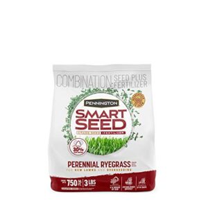 pennington smart seed perennial ryegrass 3 lb