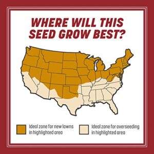 Pennington Smart Seed Perennial Ryegrass 3 lb