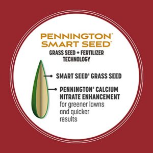 Pennington Smart Seed Perennial Ryegrass 3 lb