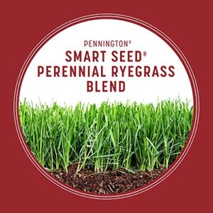 Pennington Smart Seed Perennial Ryegrass 3 lb