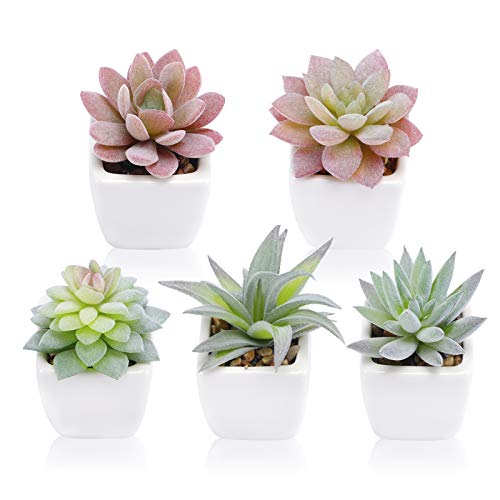 FUNARTY 5pcs Artificial Succulent Plants in White Ceramic Pots, Fake Small Fake Plants, Faux Mini Succulents Plants Indoor for Desk Living Room Bedroom Windowsills Office Home Decoration