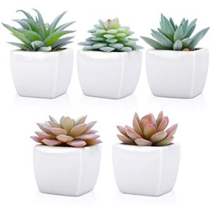 FUNARTY 5pcs Artificial Succulent Plants in White Ceramic Pots, Fake Small Fake Plants, Faux Mini Succulents Plants Indoor for Desk Living Room Bedroom Windowsills Office Home Decoration