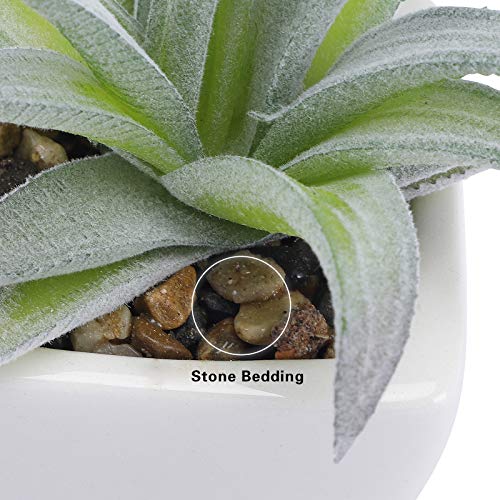 FUNARTY 5pcs Artificial Succulent Plants in White Ceramic Pots, Fake Small Fake Plants, Faux Mini Succulents Plants Indoor for Desk Living Room Bedroom Windowsills Office Home Decoration