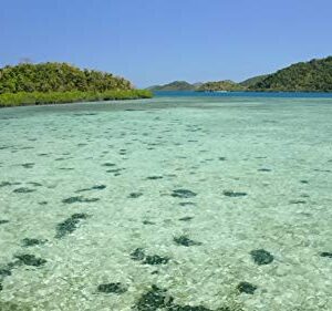 Ocean and Underwater DVD - Under And Above The Pacific Ocean - Fly Over Tropical Paradise - Row over Coral Reefs and Dive With The Turtles