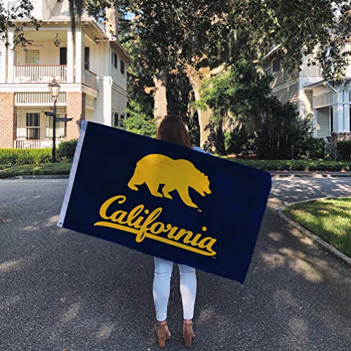 Desert Cactus University of California Berkeley Flag Golden Bears Cal UC Flags Banners 100% Polyester Indoor Outdoor 3x5 (Style 4)