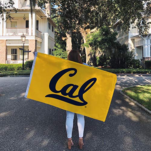 Desert Cactus University of California Berkeley Flag Golden Bears Cal UC Flags Banners 100% Polyester Indoor Outdoor 3x5 (Style 1)