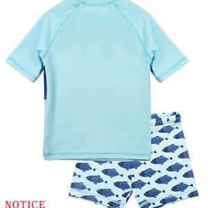 Dilon Toddler Baby Boys Swimsuit Shark Bathing Suits Set-Two Piece Short Sleeve Rashguard Swimwear & Swim Trunks Set(Shark,12-18 Months)