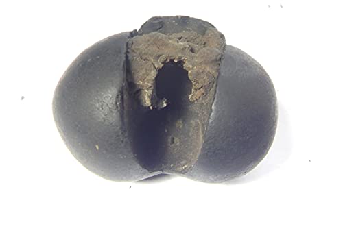 XUETZALCOATL Kurma Laxmi Navnidhi Purnachakra Purnagarbha Shaligram from Kali Gandaki