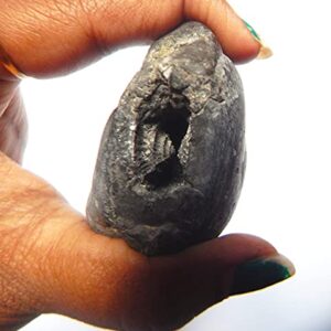 XUETZALCOATL Adwaitya Narsimha Maha Vishnu Shaligram Nepal Kali Gandaki