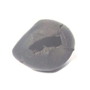 XUETZALCOATL Jyotiraadityah Sudarshan Shaligram 1.5cm - 2.5cm from Kali Gandaki 1 pcs