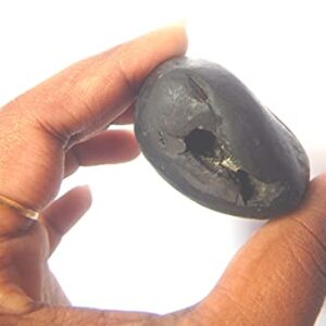 XUETZALCOATL Sacred Adwaitya Shweta Gadadhar Pandit Shaligram Nepal Kali Gandaki