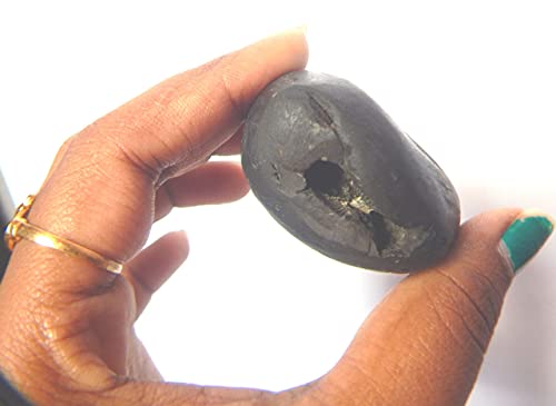 XUETZALCOATL Sacred Adwaitya Shweta Gadadhar Pandit Shaligram Nepal Kali Gandaki