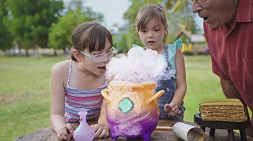 Magic Mixies Magical Misting Cauldron with Interactive 8 inch Pink Plush Toy and 50+ Sounds and Reactions