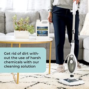 Steam & Go - Demineralized Water for Steam Cleaner, PVC-Free Floor Cleaner Liquid Compatible With Any Mop Steamer, Ready-to-Use Multisurface Cleaner, Scented Mop Solution, Eucalyptus Mint, 32 oz