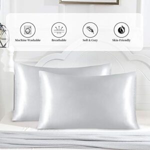 yourose Satin Pillowcase for Hair and Skin, 2 Pack Standard Size Silky Pillowcases with Envelop Closure, (Silver, 20”X26”,2pcs)