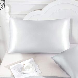 yourose Satin Pillowcase for Hair and Skin, 2 Pack Standard Size Silky Pillowcases with Envelop Closure, (Silver, 20”X26”,2pcs)