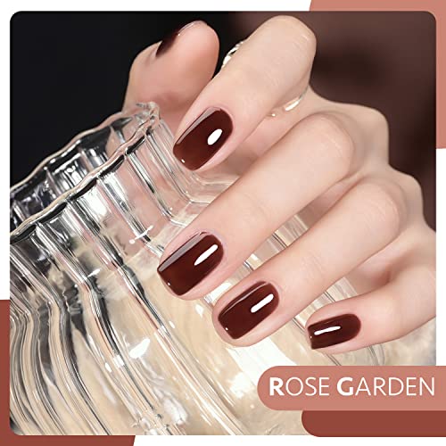 GAOY Rose Garden Jelly Gel Nail Polish of 6 Transparent Nude Red Pink Brown Colors Sheer Gel Polish Kit for Salon Gel Manicure and Nail Art DIY at Home