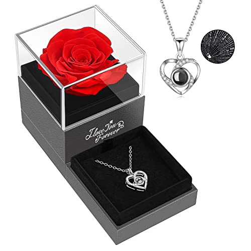 ASELFAD Preserved Red Real Rose with I Love You Necklace -Eternal Flowers Rose Gifts for Mom Wife Girlfriend Her on Anniversary Mothers Day Valentines Day Christmas Birthday Gifts for Women