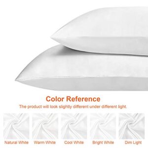 EHEYCIGA Satin Pillowcase for Hair and Skin Silk Pillowcase Set of 2 White Soft Pillow Cases 2 Pack Queen Size 20X30 Inches with Envelope Closure