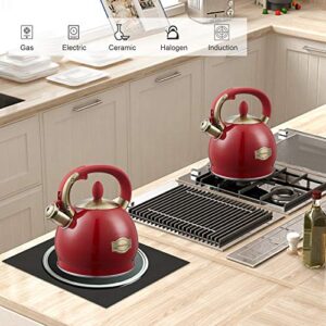 Tea Kettle -2.8 Quart Tea Kettles Stovetop Whistling Teapot Stainless Steel Tea Pots for Stove Top Whistle Tea Pot