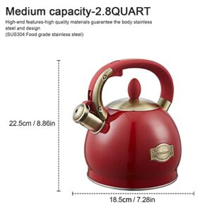 Tea Kettle -2.8 Quart Tea Kettles Stovetop Whistling Teapot Stainless Steel Tea Pots for Stove Top Whistle Tea Pot