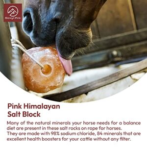 Glowyn Pink Himalayan Salt Lick Mineral Salt Block on Rope 4 Pack – 100% Organic Pink Salt Block for Horses Deer and Livestock. These Horse Licks Contain no Harmful Elements.