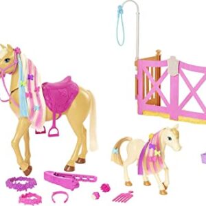 Barbie Groom 'N Care Horse Playset with Blond Doll, 2 Nodding Horses & 20+ Accessories, Style Color-Change Manes with Tool & Clips