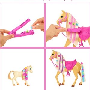 Barbie Groom 'N Care Horse Playset with Blond Doll, 2 Nodding Horses & 20+ Accessories, Style Color-Change Manes with Tool & Clips