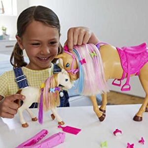 Barbie Groom 'N Care Horse Playset with Blond Doll, 2 Nodding Horses & 20+ Accessories, Style Color-Change Manes with Tool & Clips