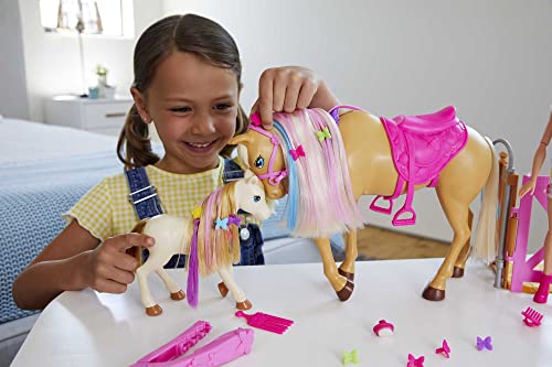 Barbie Groom 'N Care Horse Playset with Blond Doll, 2 Nodding Horses & 20+ Accessories, Style Color-Change Manes with Tool & Clips