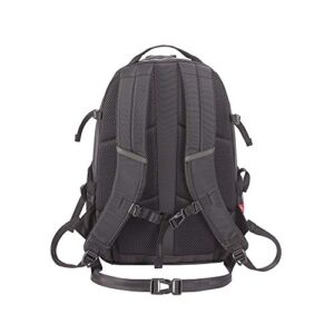 Coleman Elia 15 (Black)