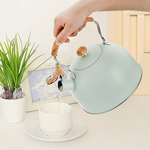 TOPZEA Tea Kettle with Handle, 2.6 Quart Stainless Steel Whistling Teapot Stove Top Tea Kettle for Heating Water, Fast Boiling Water Teakettle, Green