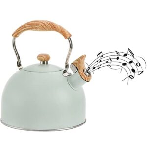 TOPZEA Tea Kettle with Handle, 2.6 Quart Stainless Steel Whistling Teapot Stove Top Tea Kettle for Heating Water, Fast Boiling Water Teakettle, Green