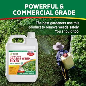 Weed Killer Concentrate - Eco Living Solutions Weed Killer Spray | Pet Safe Weed Killer | Organic Weed and Grass Killer | Moss Killer | Crabgrass & Dandelion Killer | Glyphosate Free Herbicide