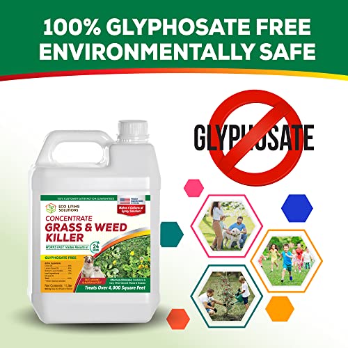 Weed Killer Concentrate - Eco Living Solutions Weed Killer Spray | Pet Safe Weed Killer | Organic Weed and Grass Killer | Moss Killer | Crabgrass & Dandelion Killer | Glyphosate Free Herbicide