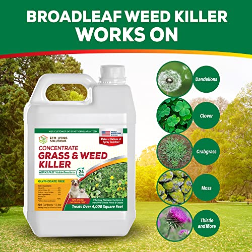 Weed Killer Concentrate - Eco Living Solutions Weed Killer Spray | Pet Safe Weed Killer | Organic Weed and Grass Killer | Moss Killer | Crabgrass & Dandelion Killer | Glyphosate Free Herbicide