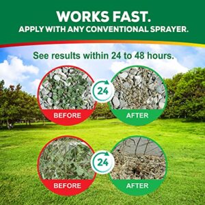 Weed Killer Concentrate - Eco Living Solutions Weed Killer Spray | Pet Safe Weed Killer | Organic Weed and Grass Killer | Moss Killer | Crabgrass & Dandelion Killer | Glyphosate Free Herbicide