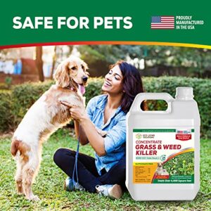 Weed Killer Concentrate - Eco Living Solutions Weed Killer Spray | Pet Safe Weed Killer | Organic Weed and Grass Killer | Moss Killer | Crabgrass & Dandelion Killer | Glyphosate Free Herbicide