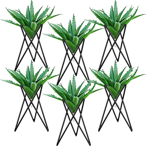 6 Pieces Air Plant Holder Black Metal Tabletop Air Plant Stand Rack Air Fern Display Stand for Home, Office and Wedding Decoration