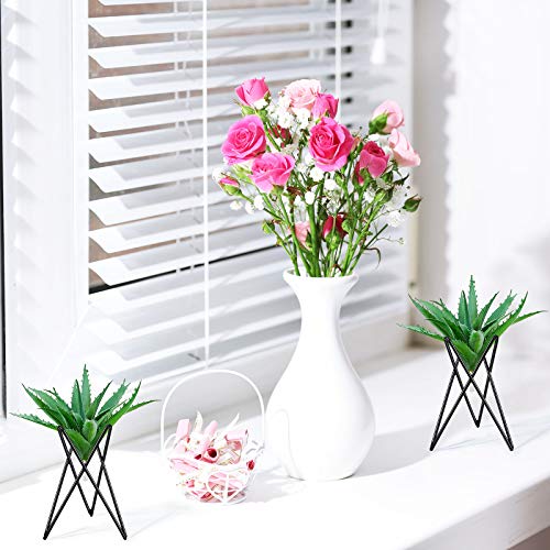 6 Pieces Air Plant Holder Black Metal Tabletop Air Plant Stand Rack Air Fern Display Stand for Home, Office and Wedding Decoration