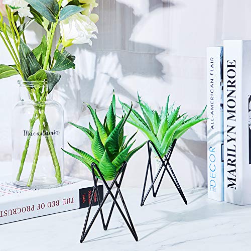 6 Pieces Air Plant Holder Black Metal Tabletop Air Plant Stand Rack Air Fern Display Stand for Home, Office and Wedding Decoration