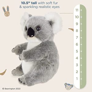 Bearington Lil’ Joey Koala Bear: Stuffed Plush Koala, Ultra-Soft 10.5” Plush Toy, Made with Premium Fill, Expressive Face and a Velour Belly; Machine Washable, Great Gift for Animal Lovers
