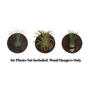 Set of 3 Air Plants Holders - Real Wood Live Air Plant Holders - Three 3 1/2" Wood Circles - Airplant Planter Holder