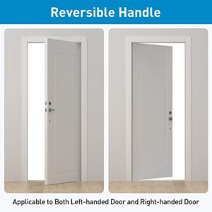 HOSOM Front Door Handle Set, Exterior Door Lock Set with Deadbolt, Single Cylinder, Reversible for Right and Left Handed Doors, Satin Nickel