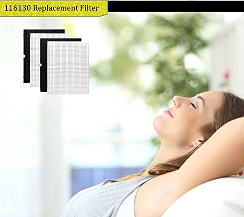 116130 Replacement Filter H for Winix 5500-2 AM80 Air Purifier True HEPA Activated Carbon Pre-Filters 2 Pack Washable Advanced Control Filter and 2 Pack PlasmaWave Odor Reducing Carbon Filters