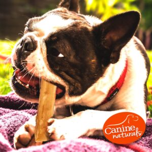 Canine Naturals Chicken Recipe Chew - Rawhide Free Dog Treats - Made From USA Raised Chicken - All-Natural and Easily Digestible - 40 Pack of 5 Inch Stick Chews