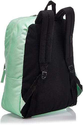 JanSport Cross Town Backpack - Class, Travel, or Work Bookbag with Water Bottle Pocket, Mint Chip